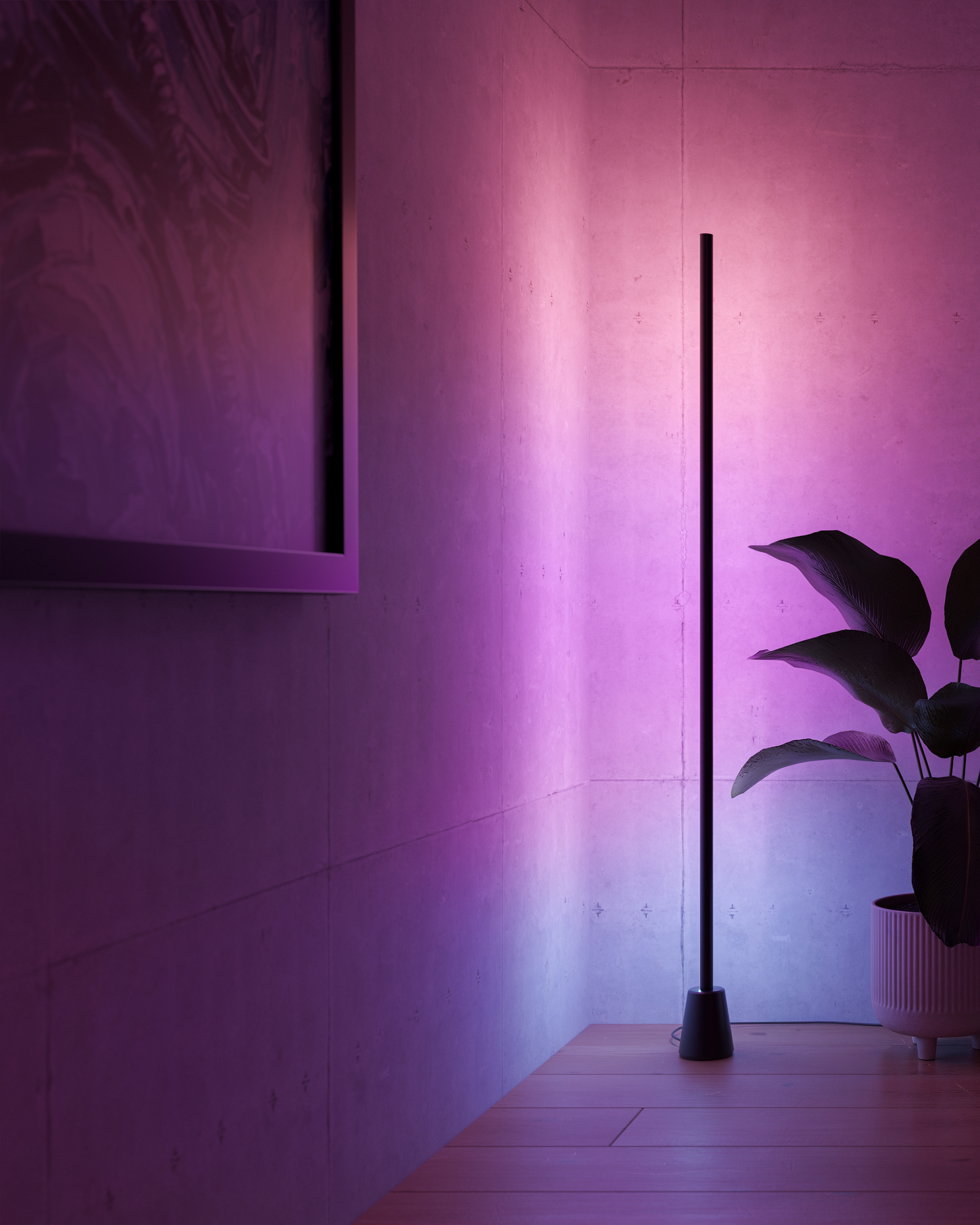 content gallery 1