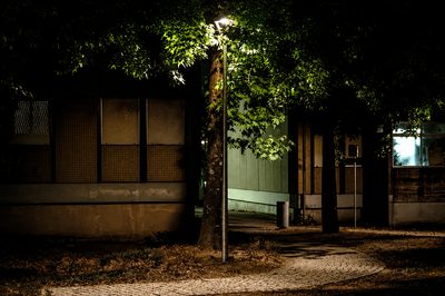 content gallery 1