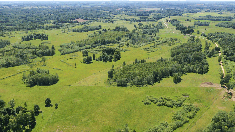 Solar ger tillbaka till naturen genom Solarskogen