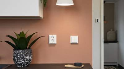content gallery 1