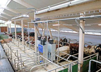 Elinstallationer i lantbruk