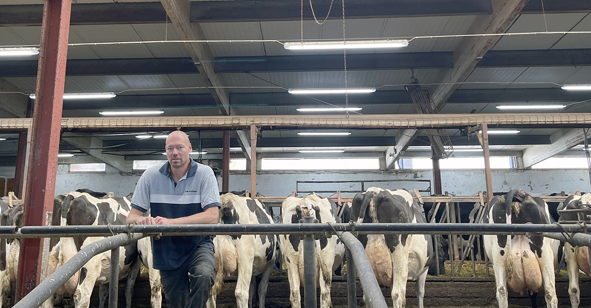 Den här belysningslösningen är ett sätt för oss att se om vi kan öka vår produktivitet, samtidigt som den ger ett otroligt lyft ur arbetsmiljöperspektiv”, konstaterar mjölkbonden Niklas Johansson.