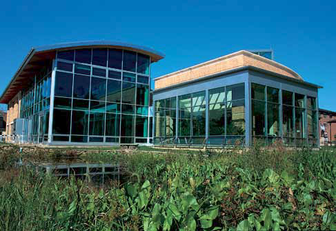 content gallery 1