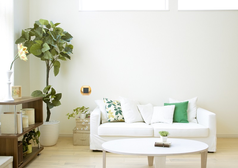 content gallery 1