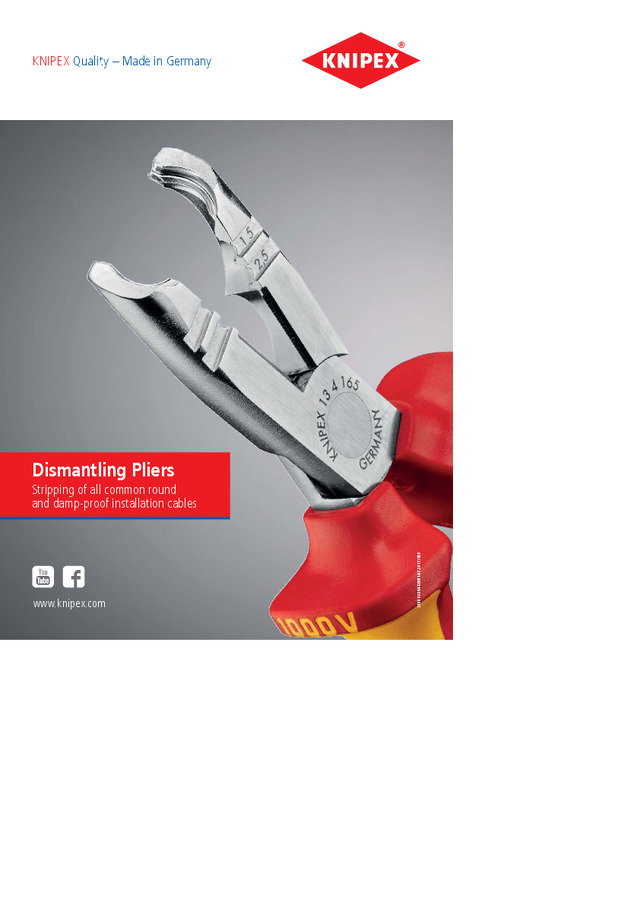 Dismantling Pliers