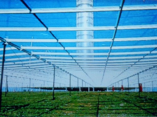 content gallery 1