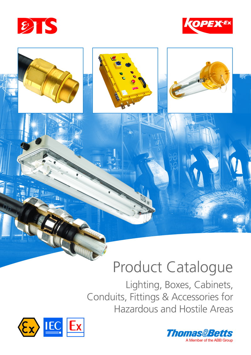 DTS  lighting products featured in on-line catalogue