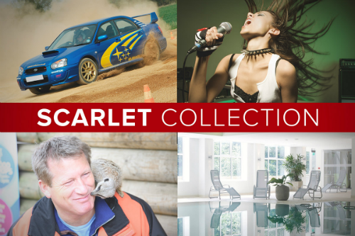 content gallery 1
