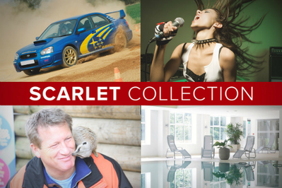 content gallery 1