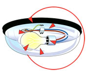 Bulkhead luminaires