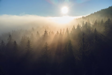 Signify delivers plan to reduce greenhouse gas emissions by 90% across its entire value chain and reach net-zero by 2040