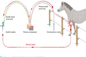 What are the installation requirements for electric fence controllers?