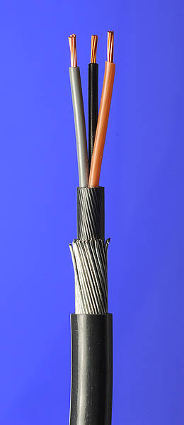 content gallery 1